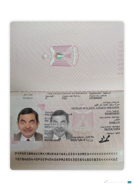 Download Palestine passport 2023 present Photoshop template